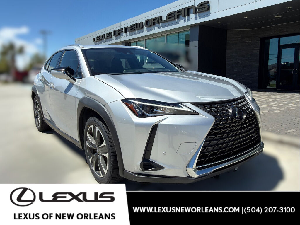 2019 LEXUS UX