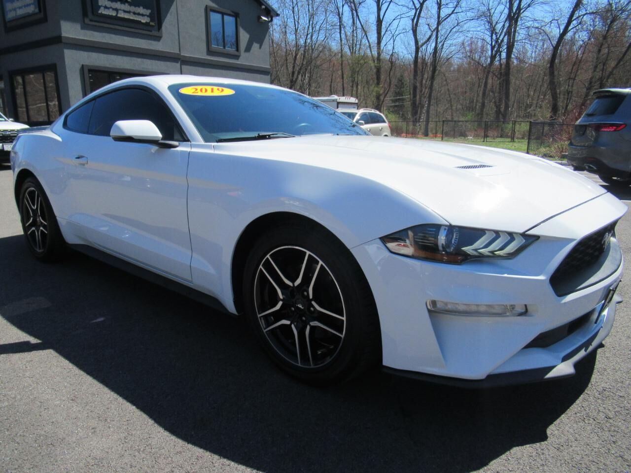 2019 FORD Mustang