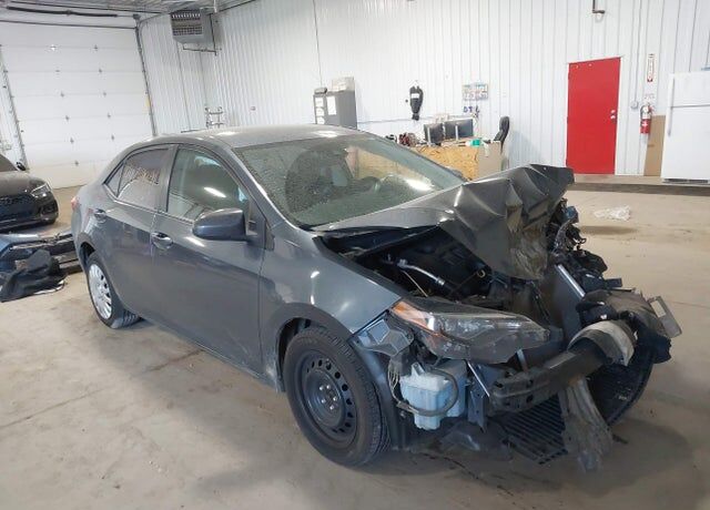 2019 TOYOTA Corolla