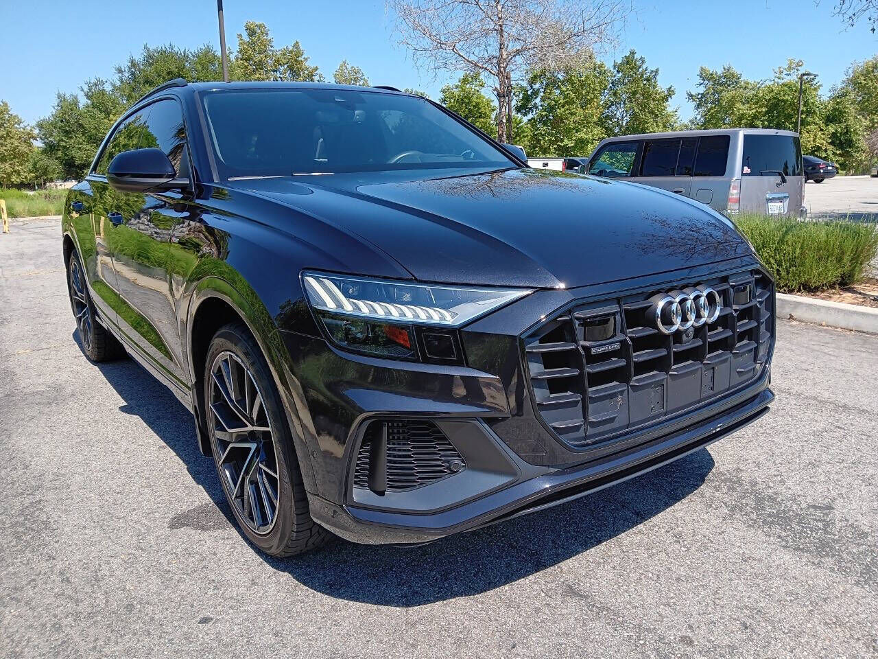 2019 Audi Q8