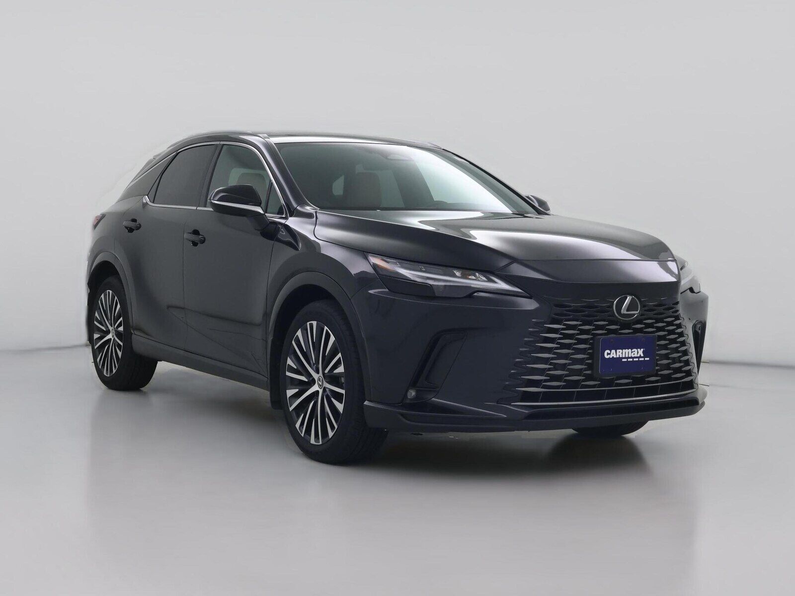 2024 LEXUS RX
