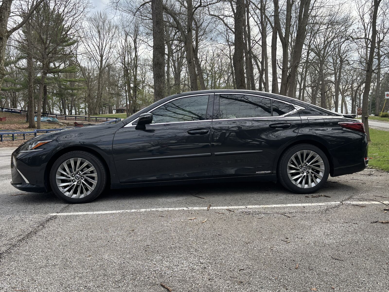 2019 LEXUS ES