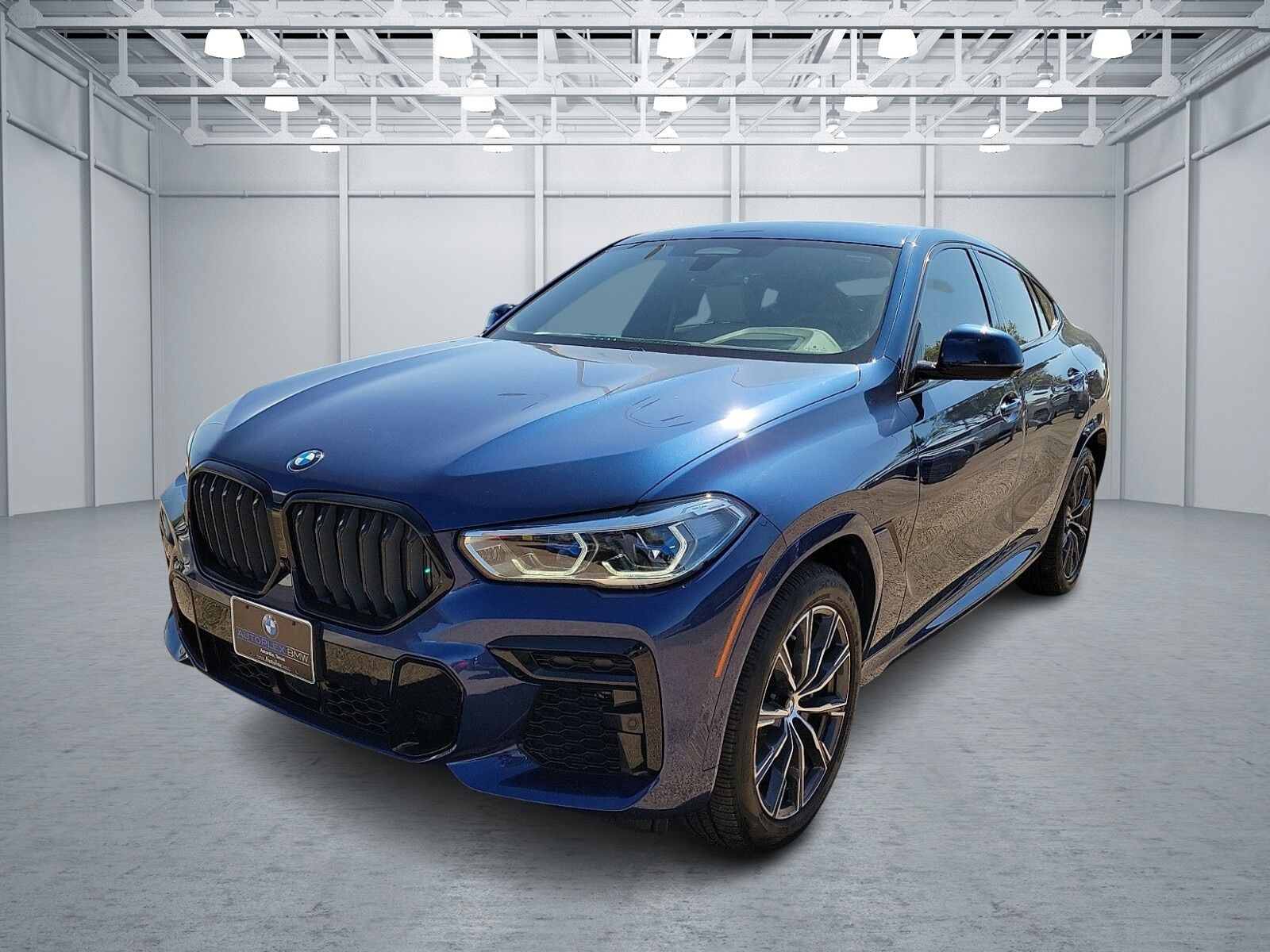 2023 BMW X6