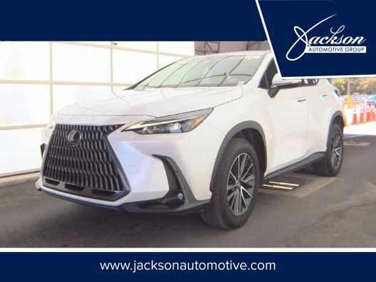 2024 LEXUS NX
