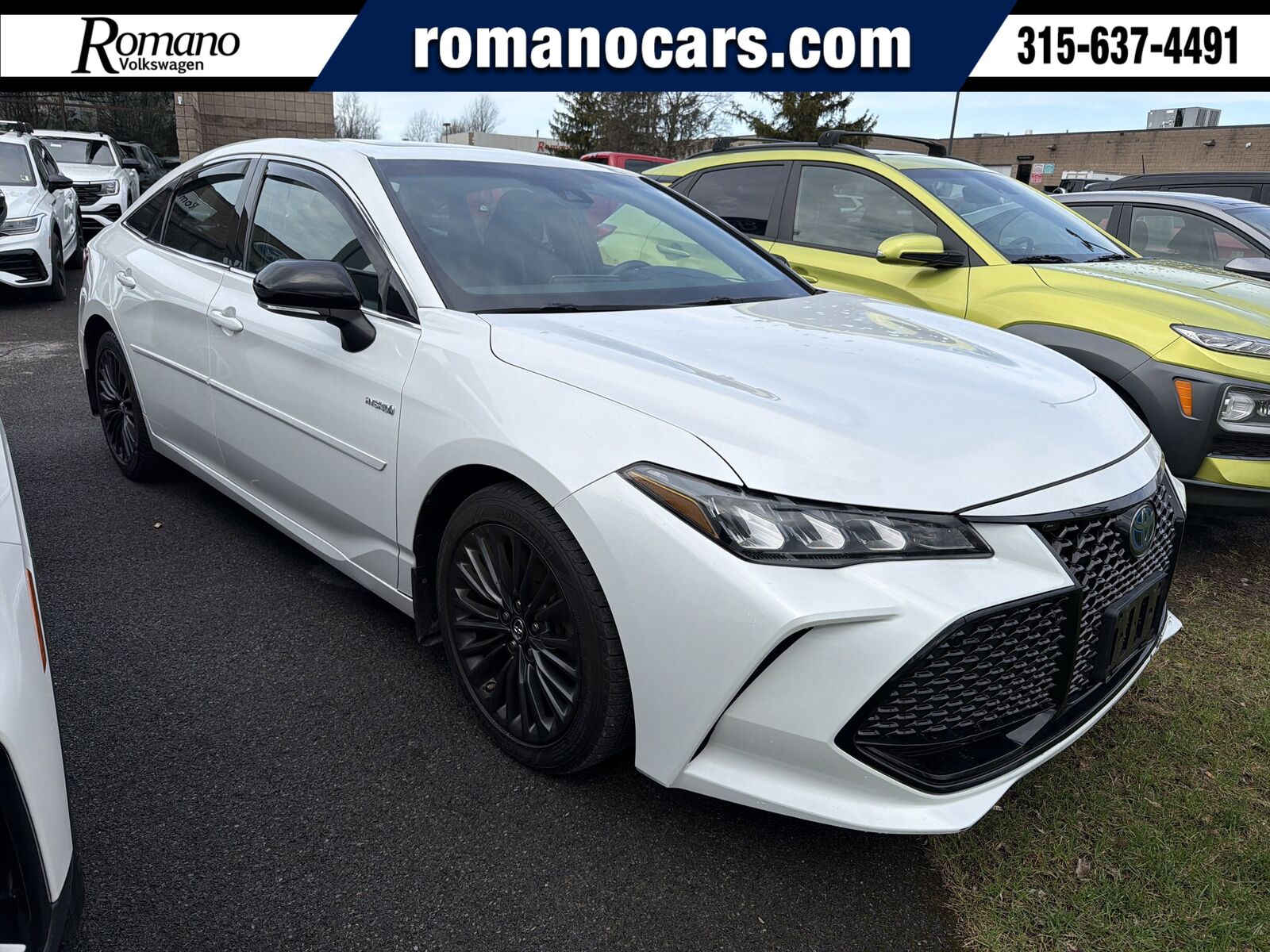 2019 TOYOTA Avalon