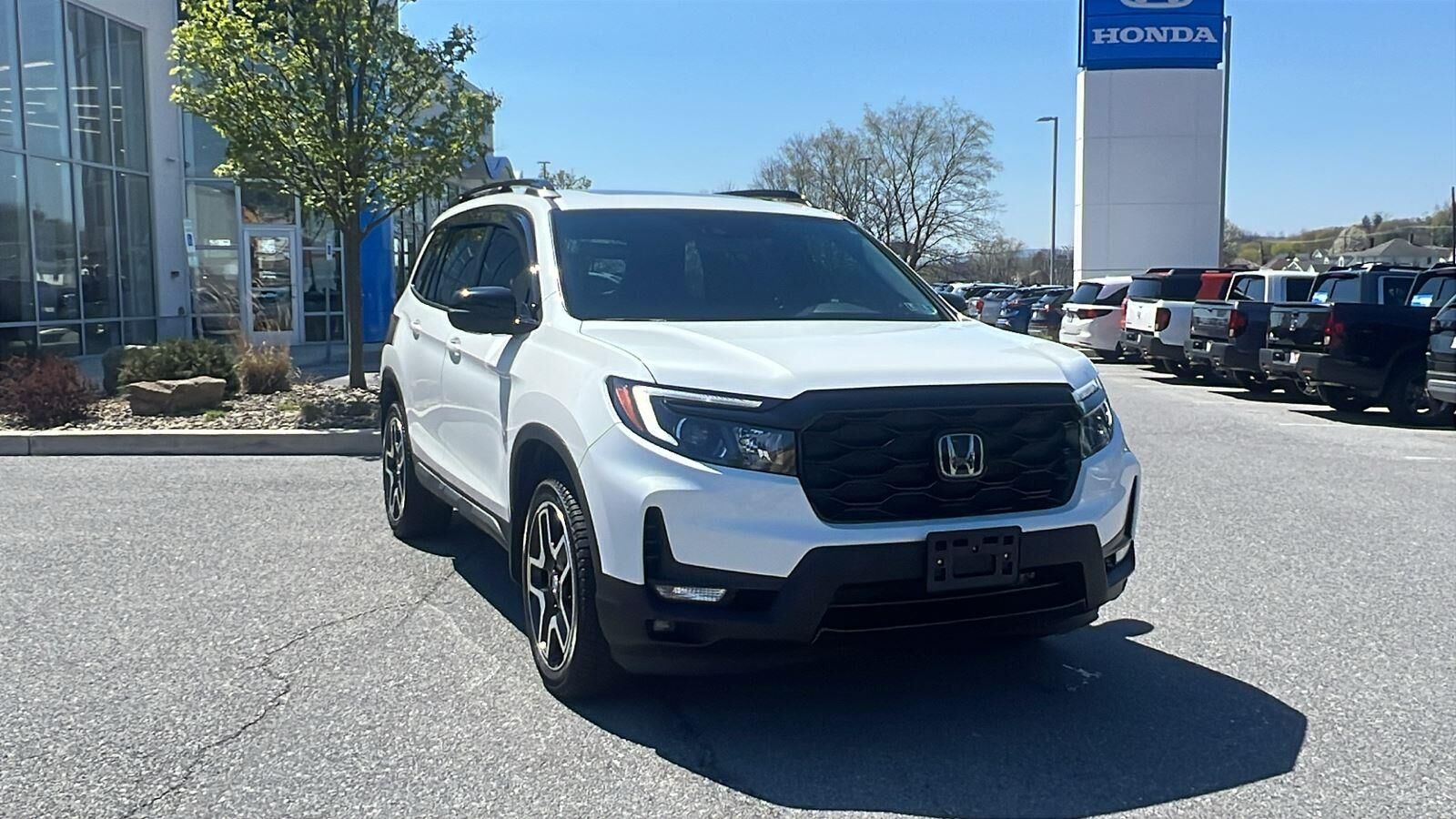 2022 HONDA Passport