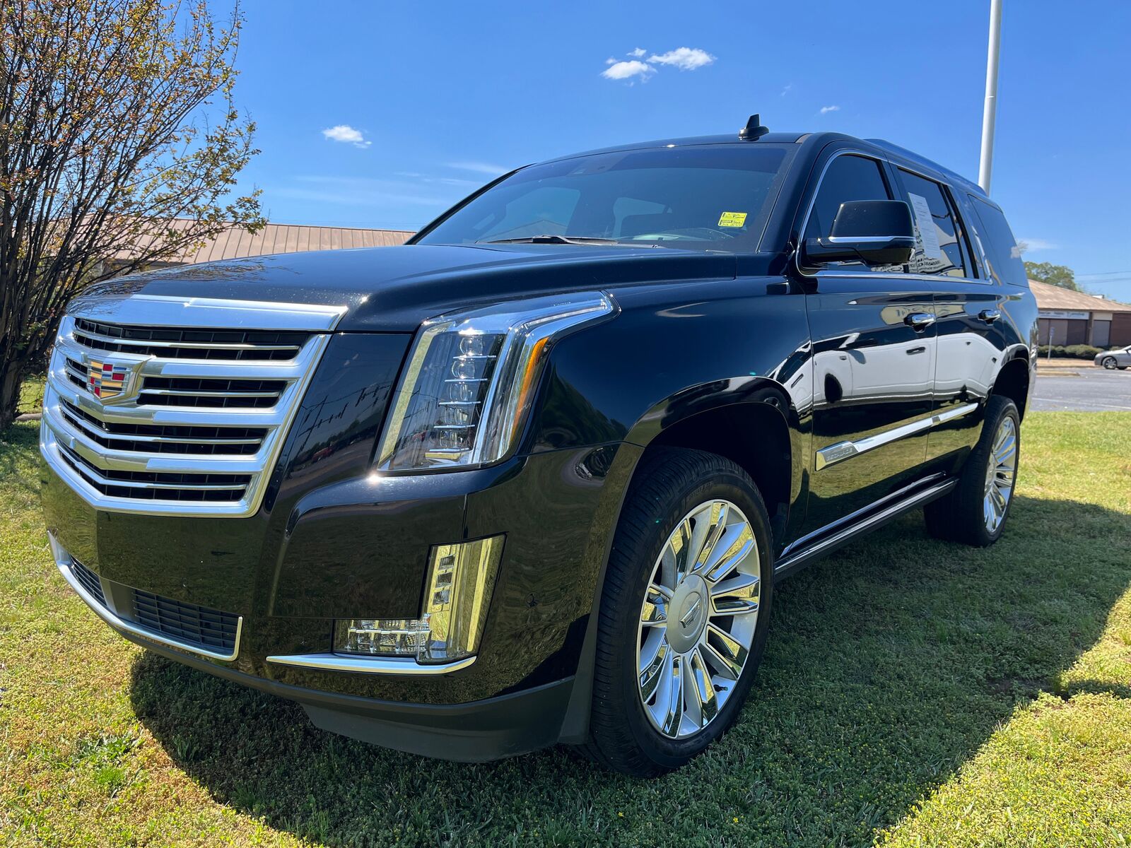 2019 CADILLAC Escalade