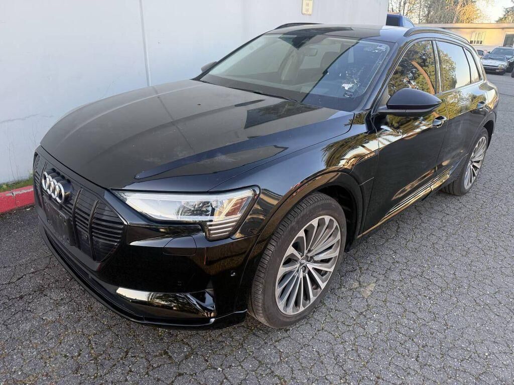 2019 AUDI e-tron