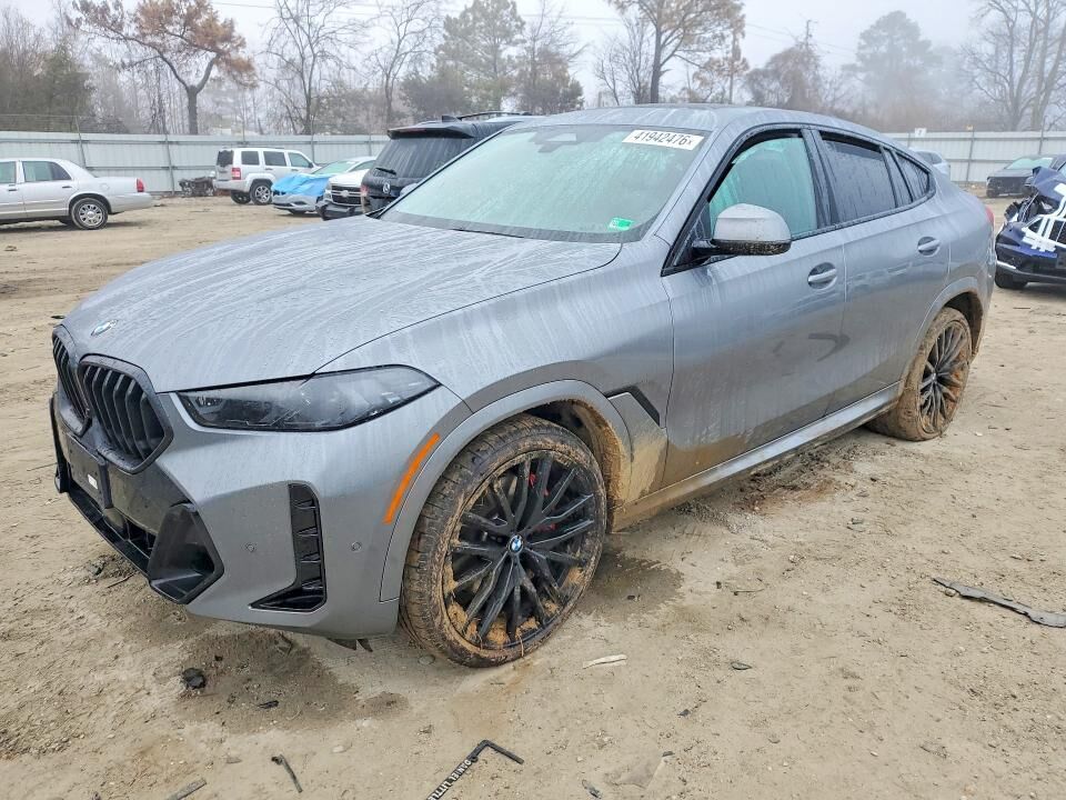 2026 BMW X6
