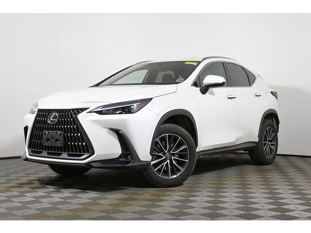 2024 LEXUS NX