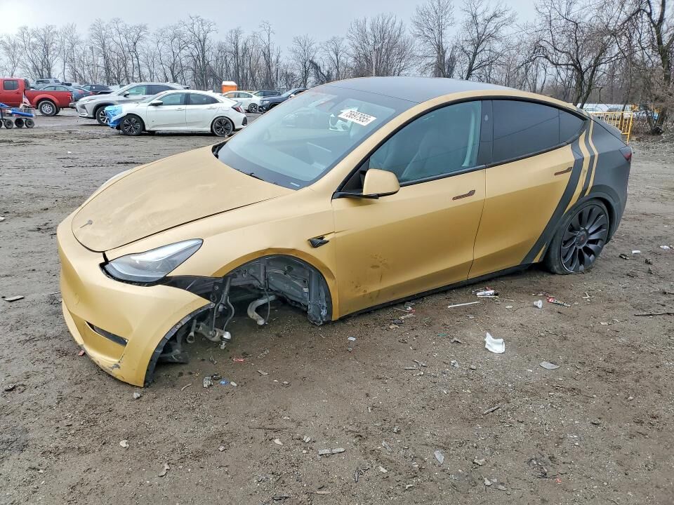 2024 TESLA Model Y