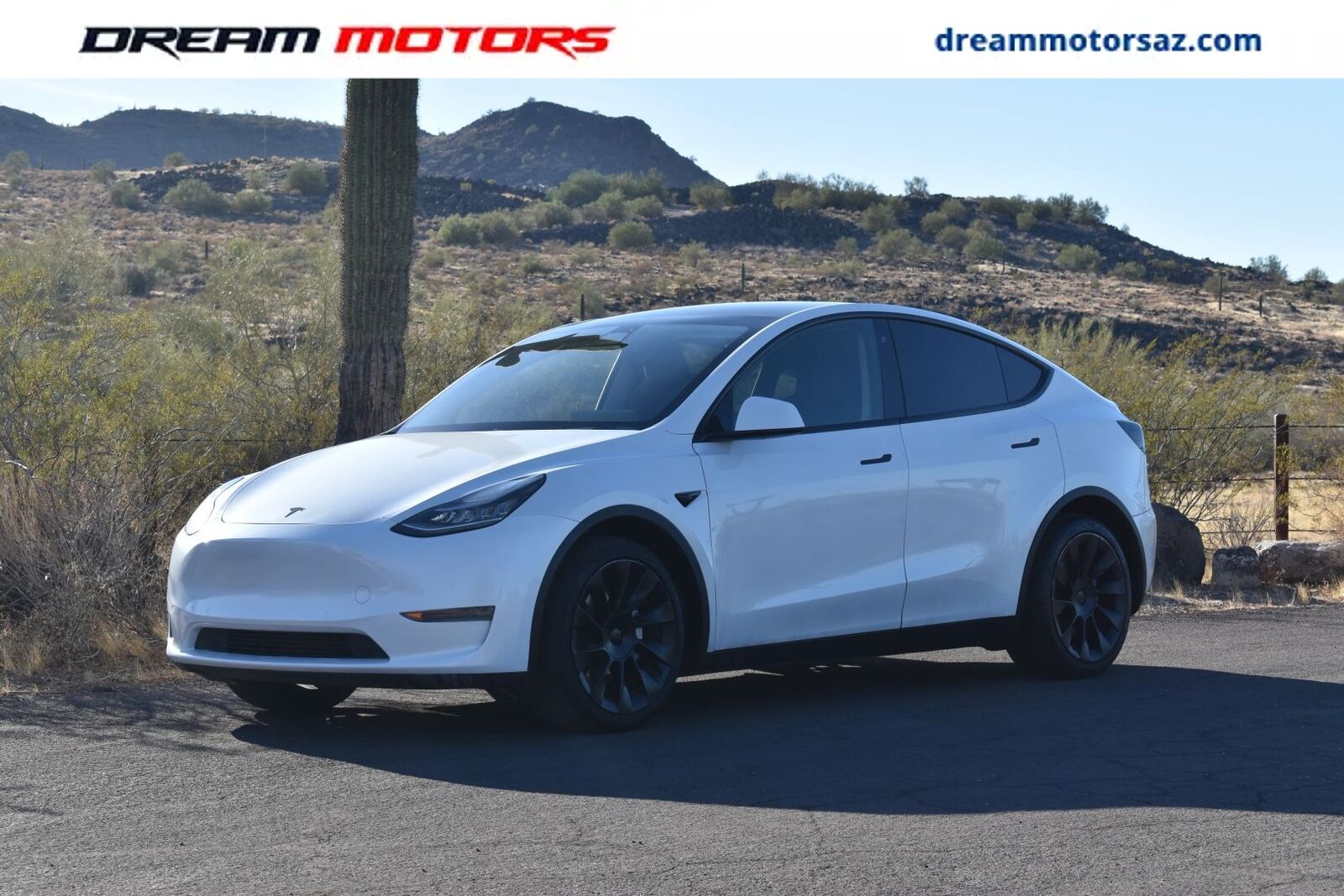 2020 TESLA Model Y