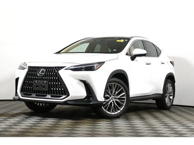 2024 LEXUS NX