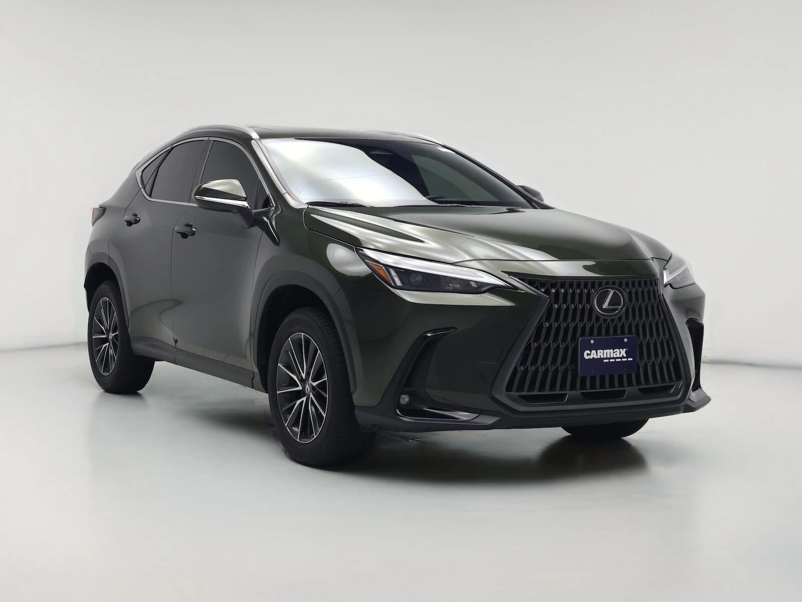 2024 LEXUS NX