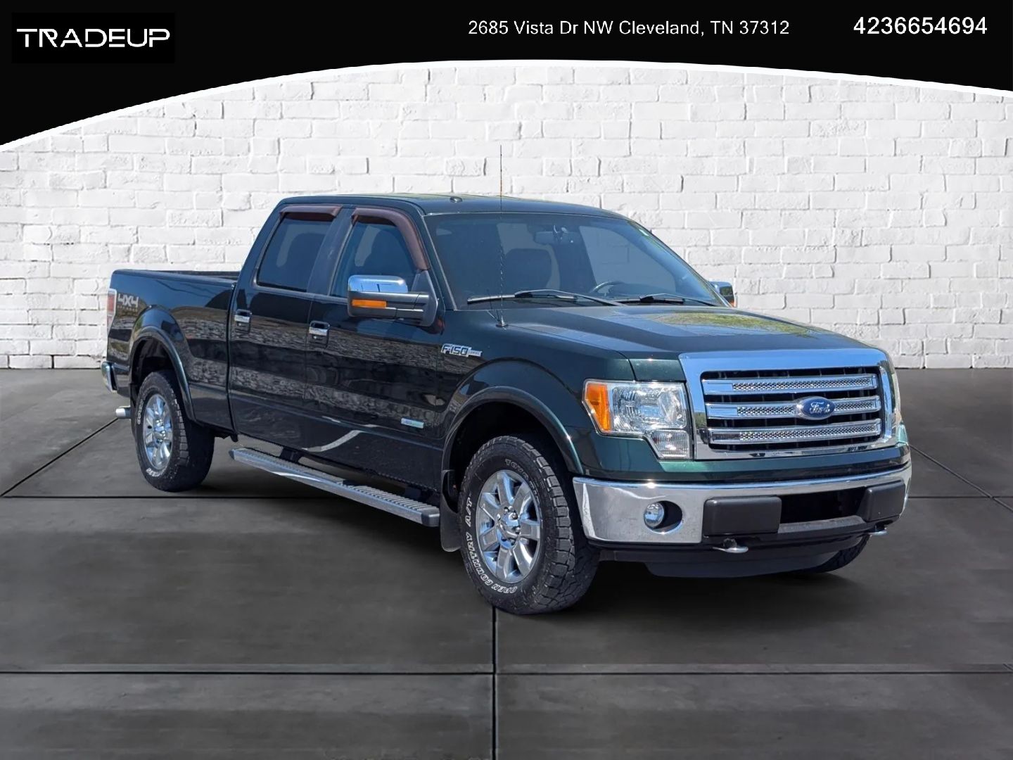 2013 FORD F-150