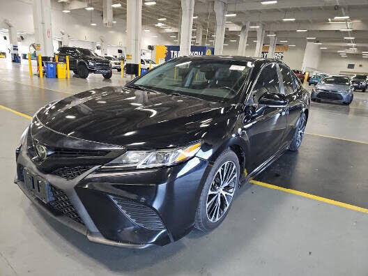 2019 TOYOTA Camry