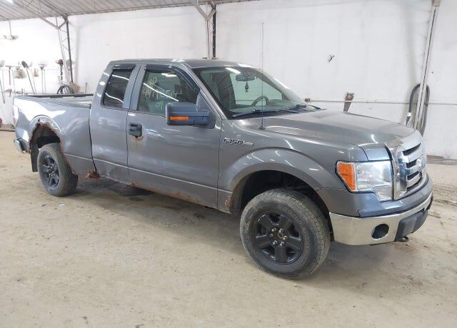 2009 FORD F-150