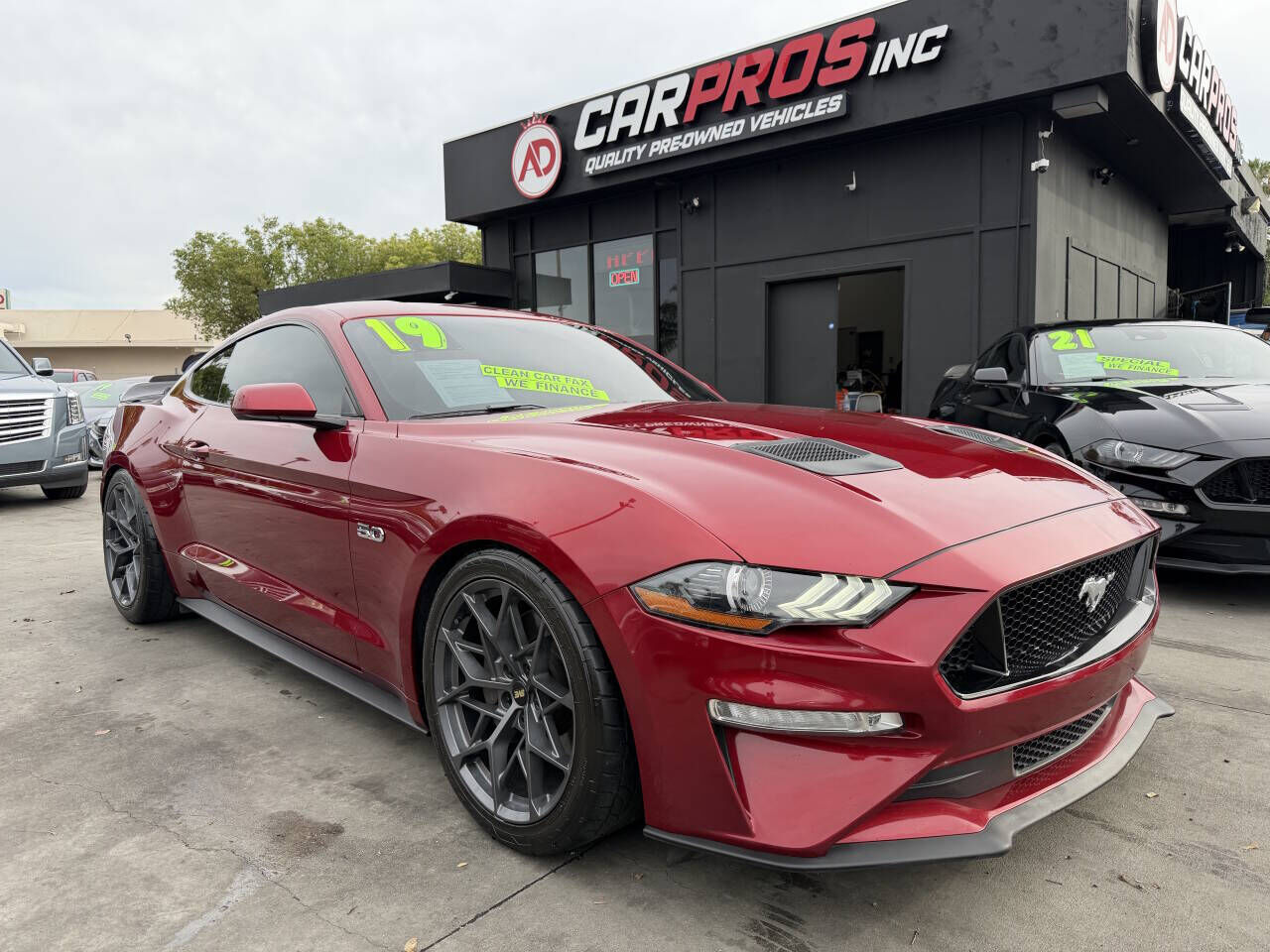 2019 FORD Mustang