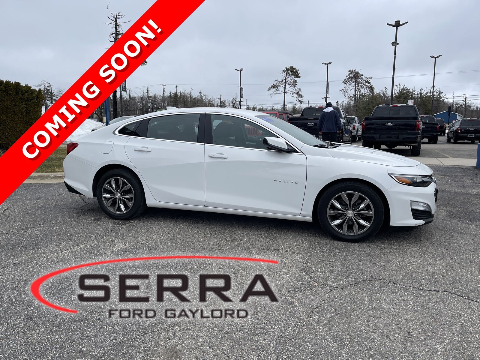 2023 CHEVROLET Malibu