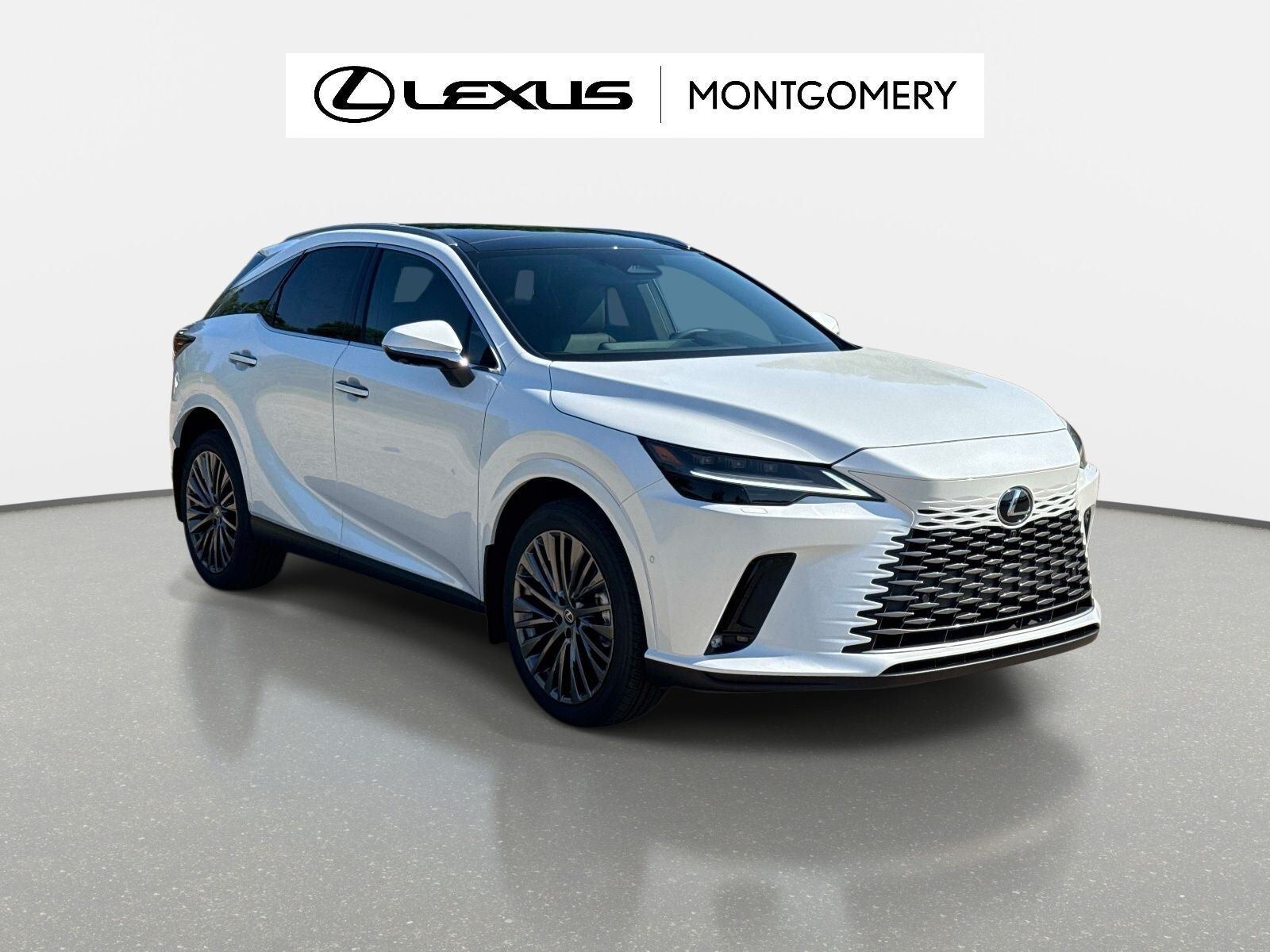 2026 LEXUS RX
