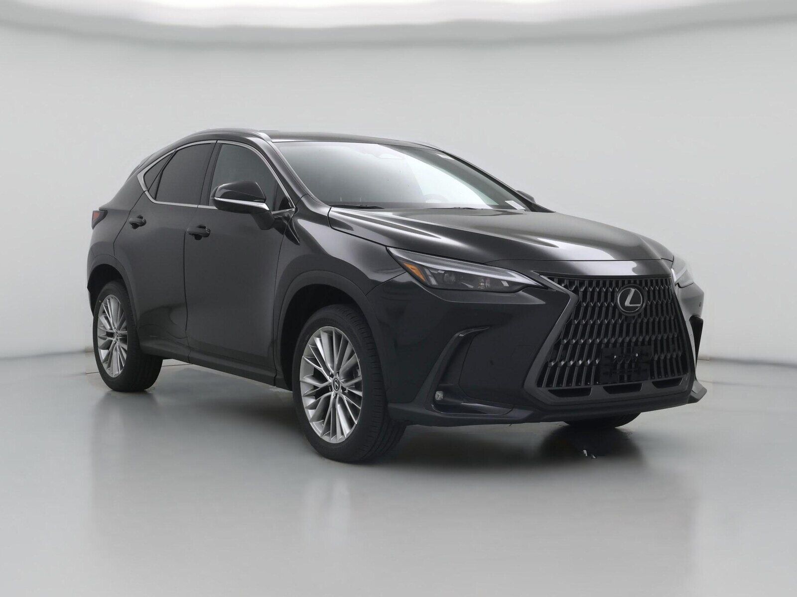 2025 LEXUS NX