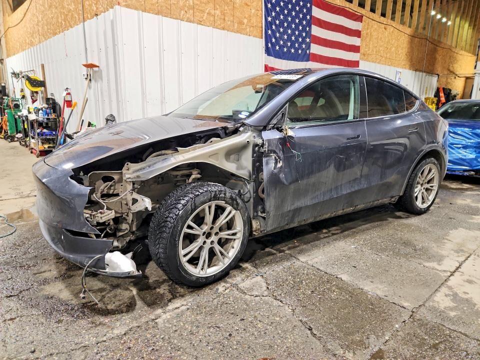 2020 TESLA Model Y