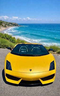 2010 LAMBORGHINI Gallardo