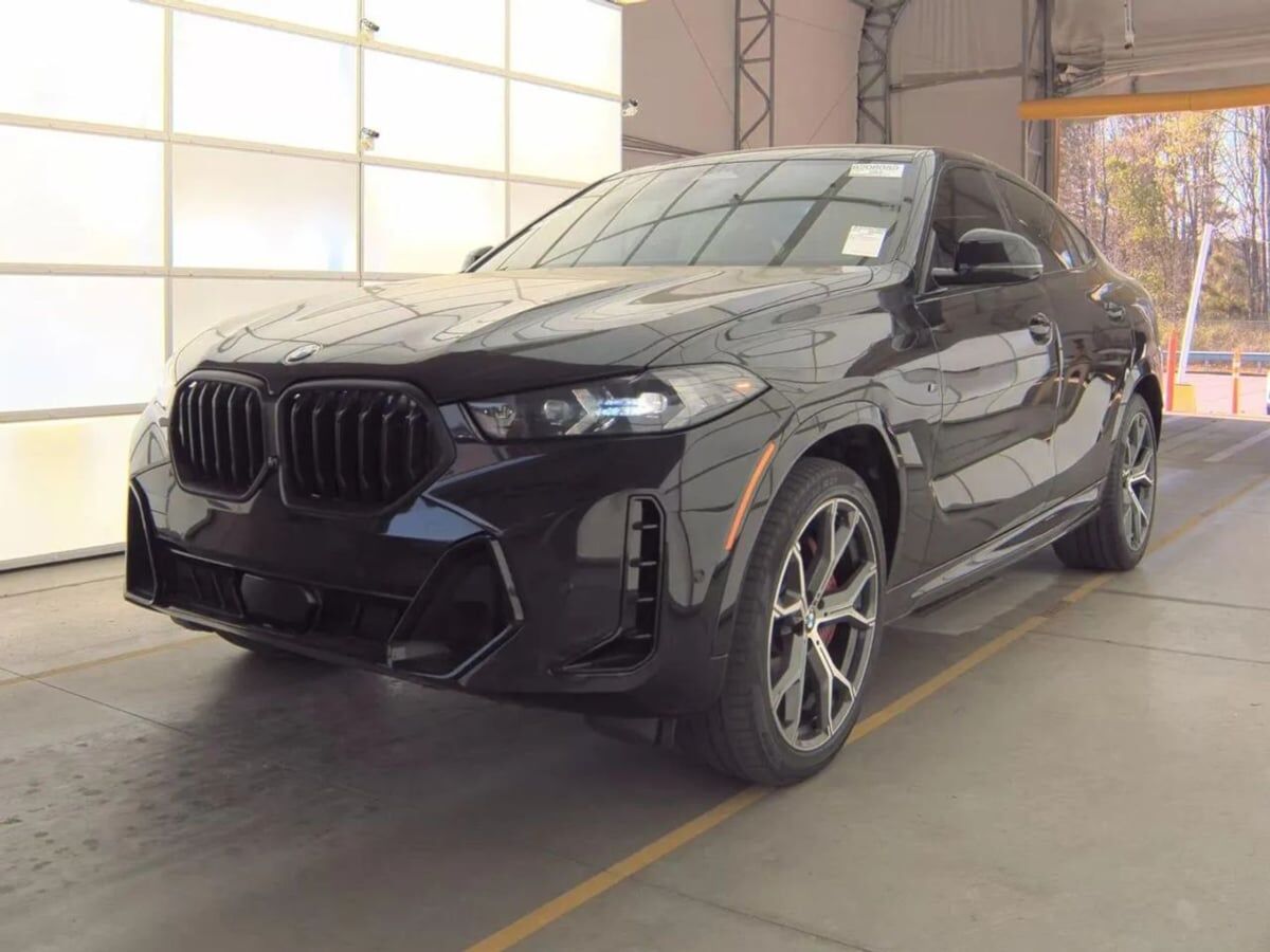 2024 BMW X6