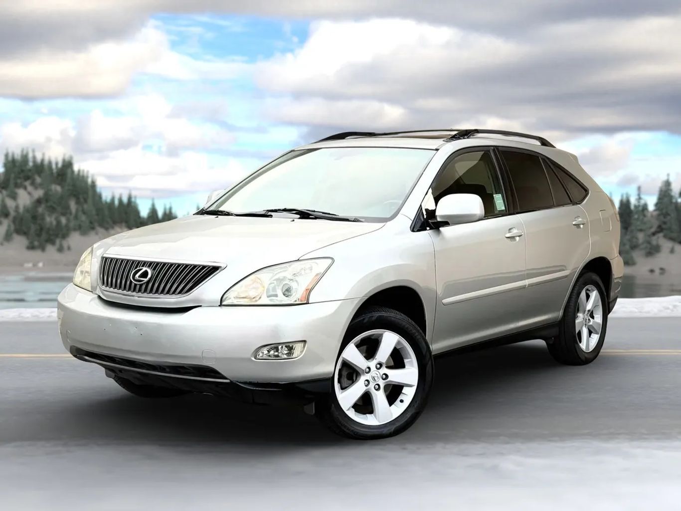 2005 LEXUS RX