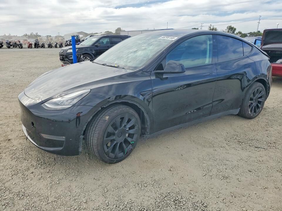 2020 TESLA Model Y