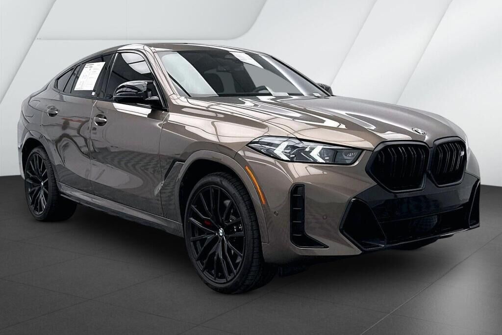 2025 BMW X6