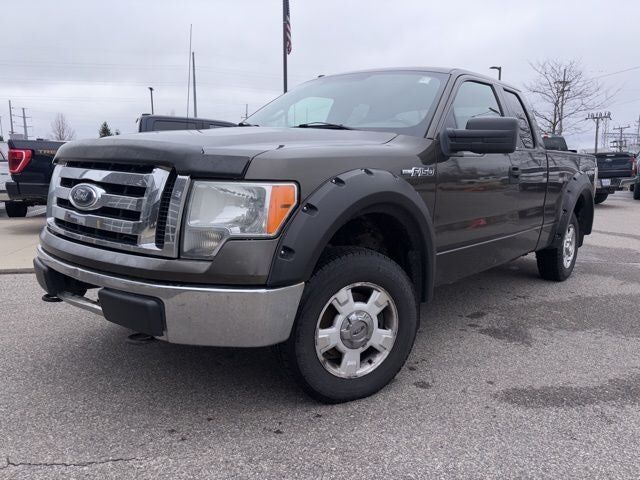 2009 FORD F-150