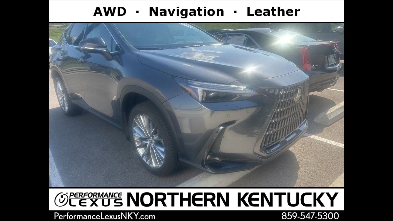 2024 LEXUS NX