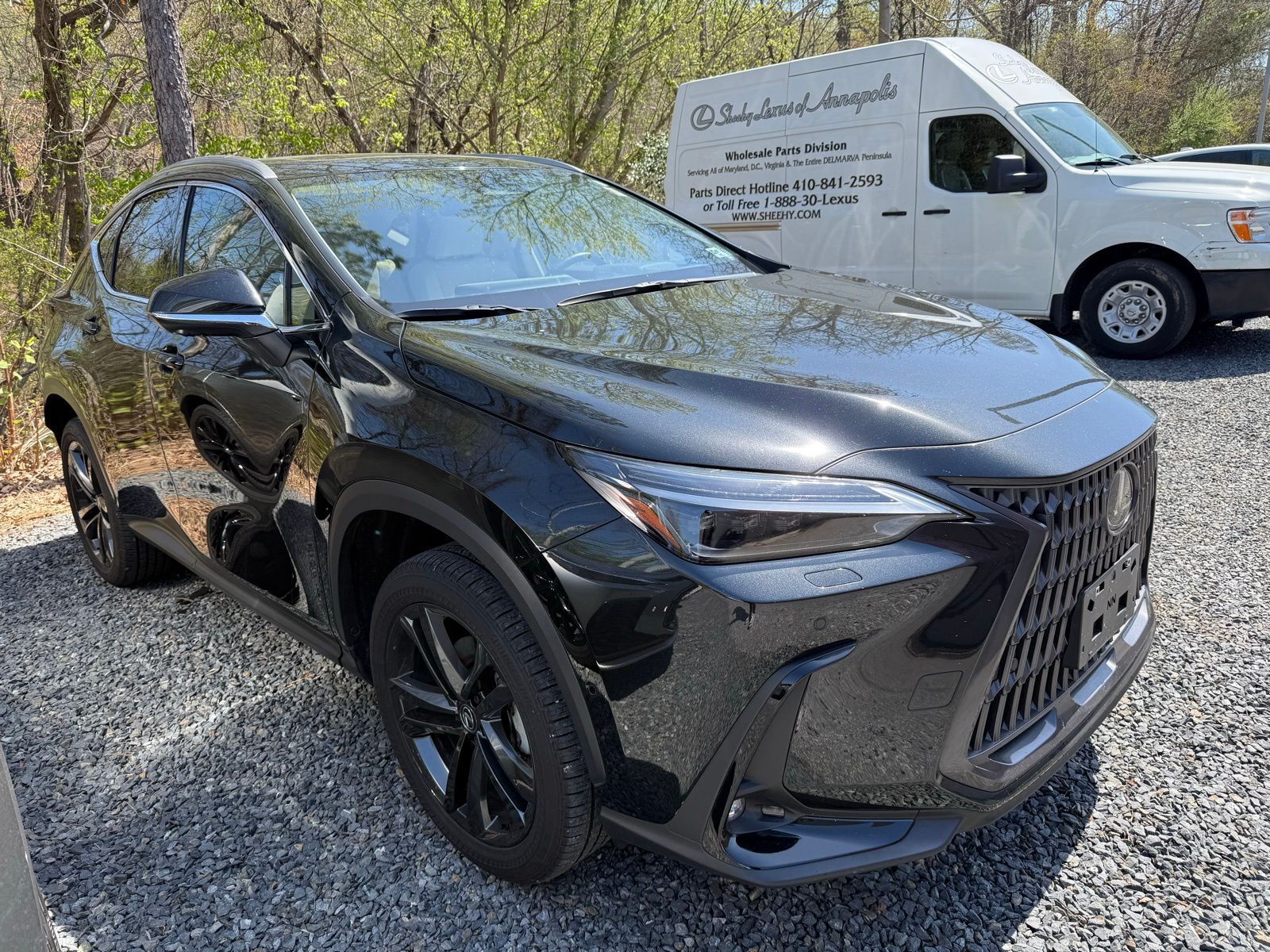 2025 LEXUS NX