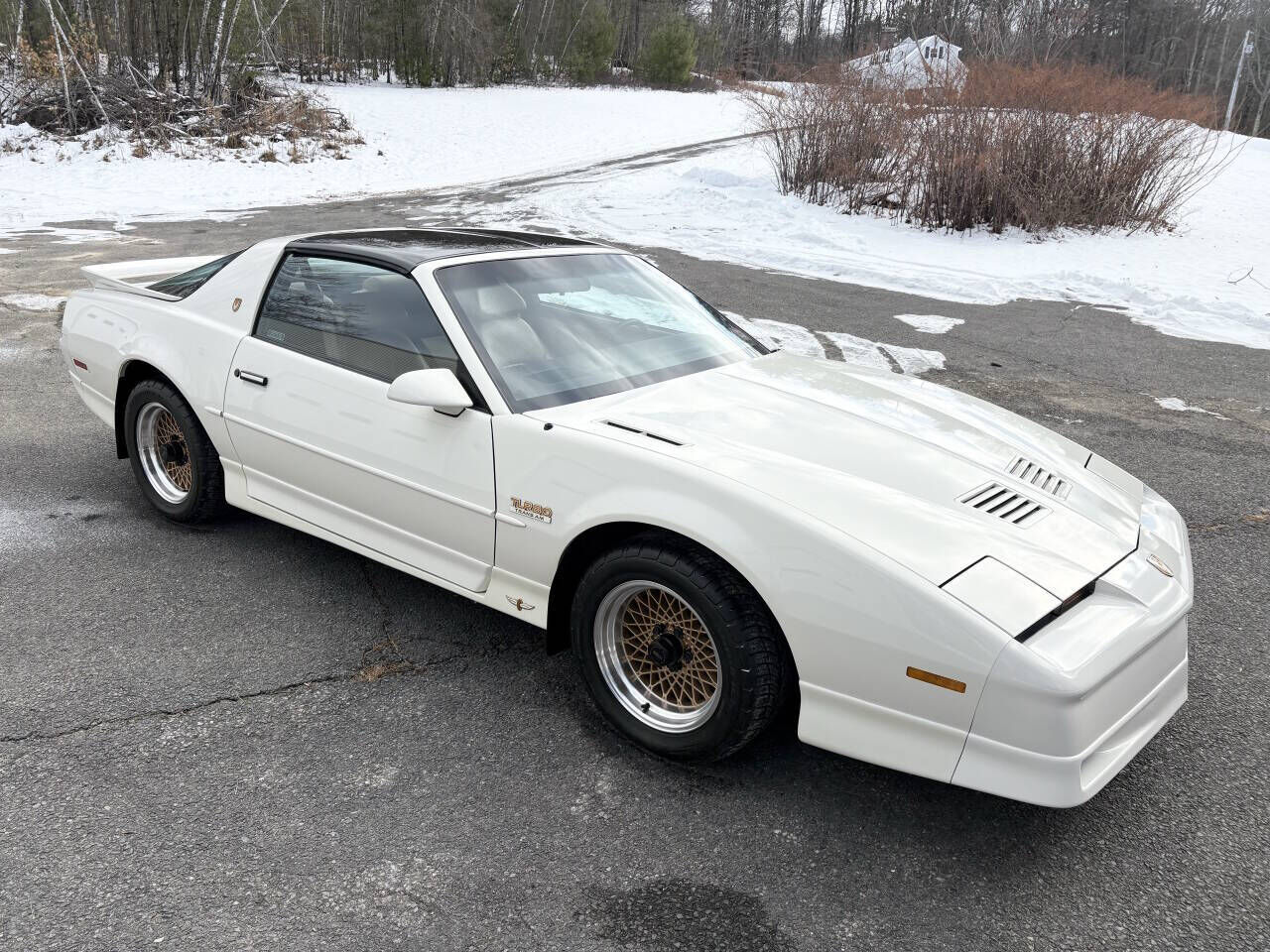 1989 PONTIAC Firebird