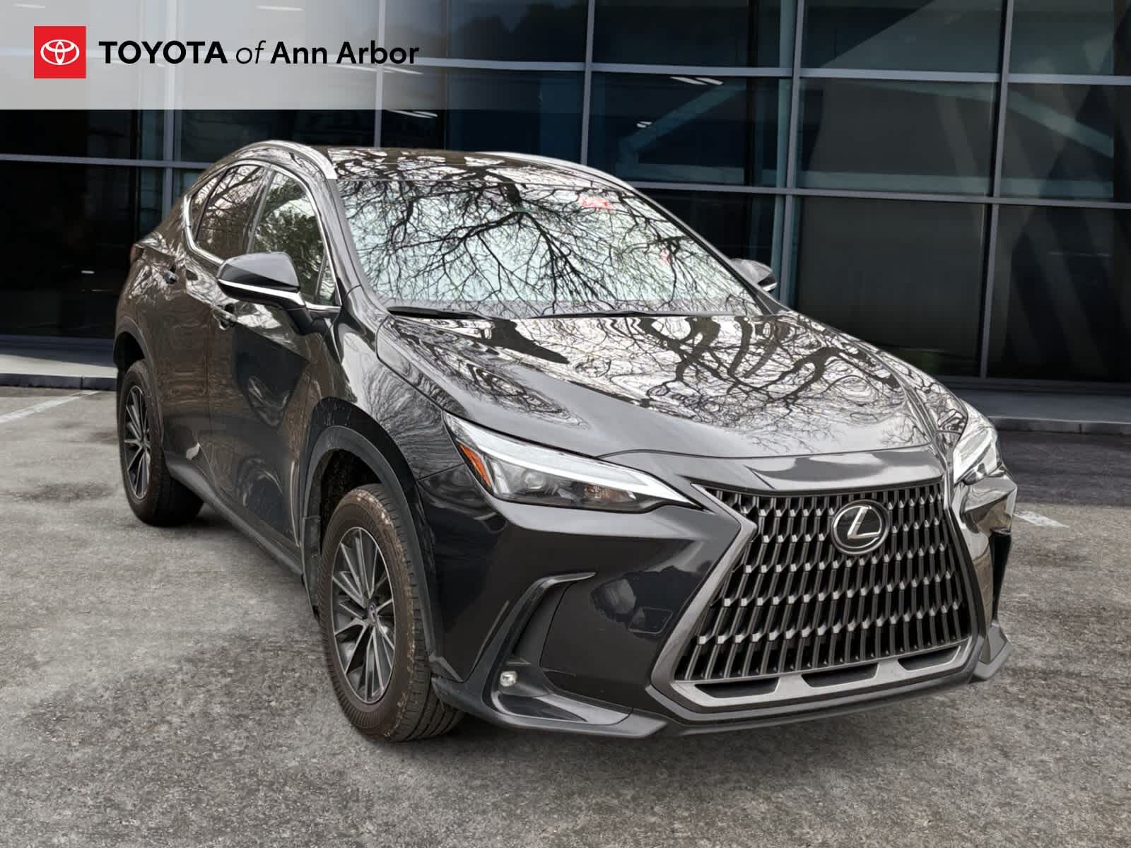 2024 LEXUS NX