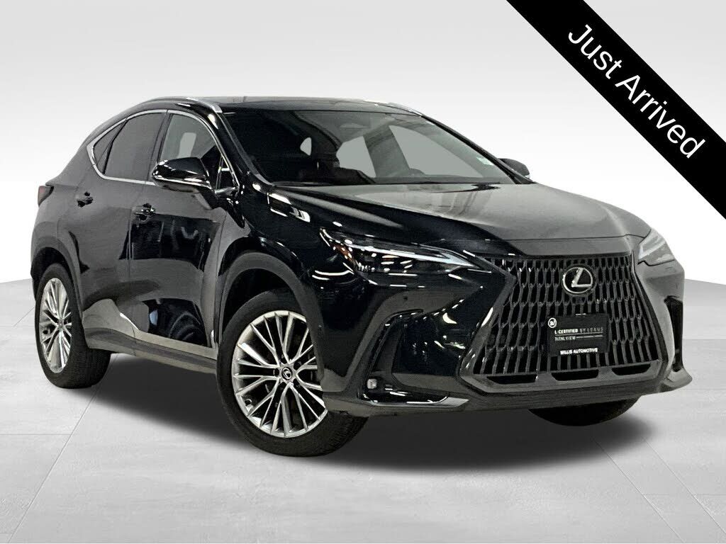 2025 LEXUS NX