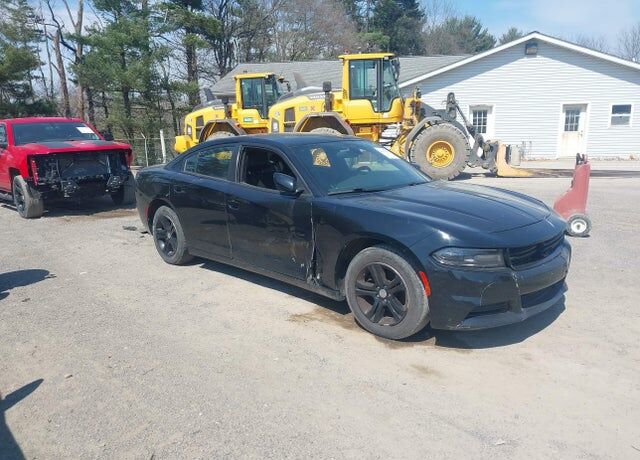 2019 DODGE Charger