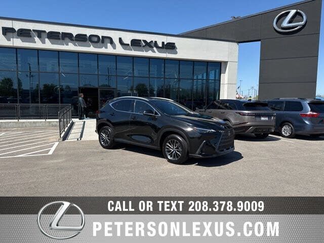 2024 LEXUS NX
