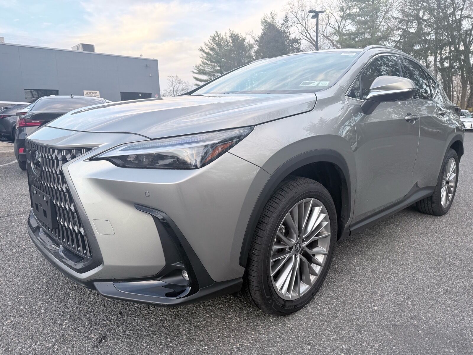 2025 LEXUS NX