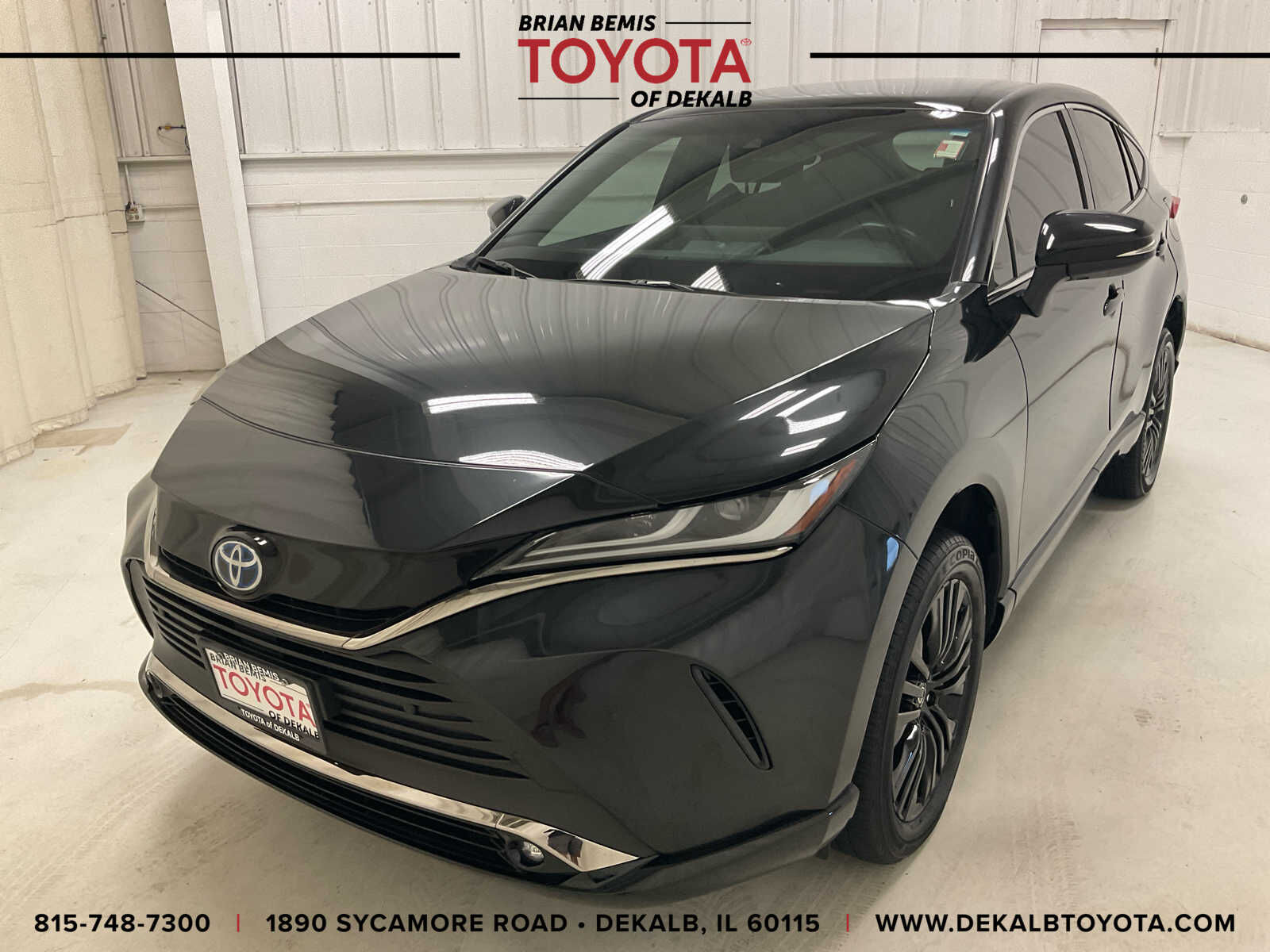 2023 TOYOTA Venza