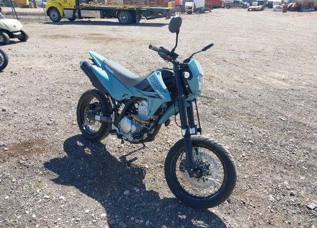 2025 KAWASAKI KLX300