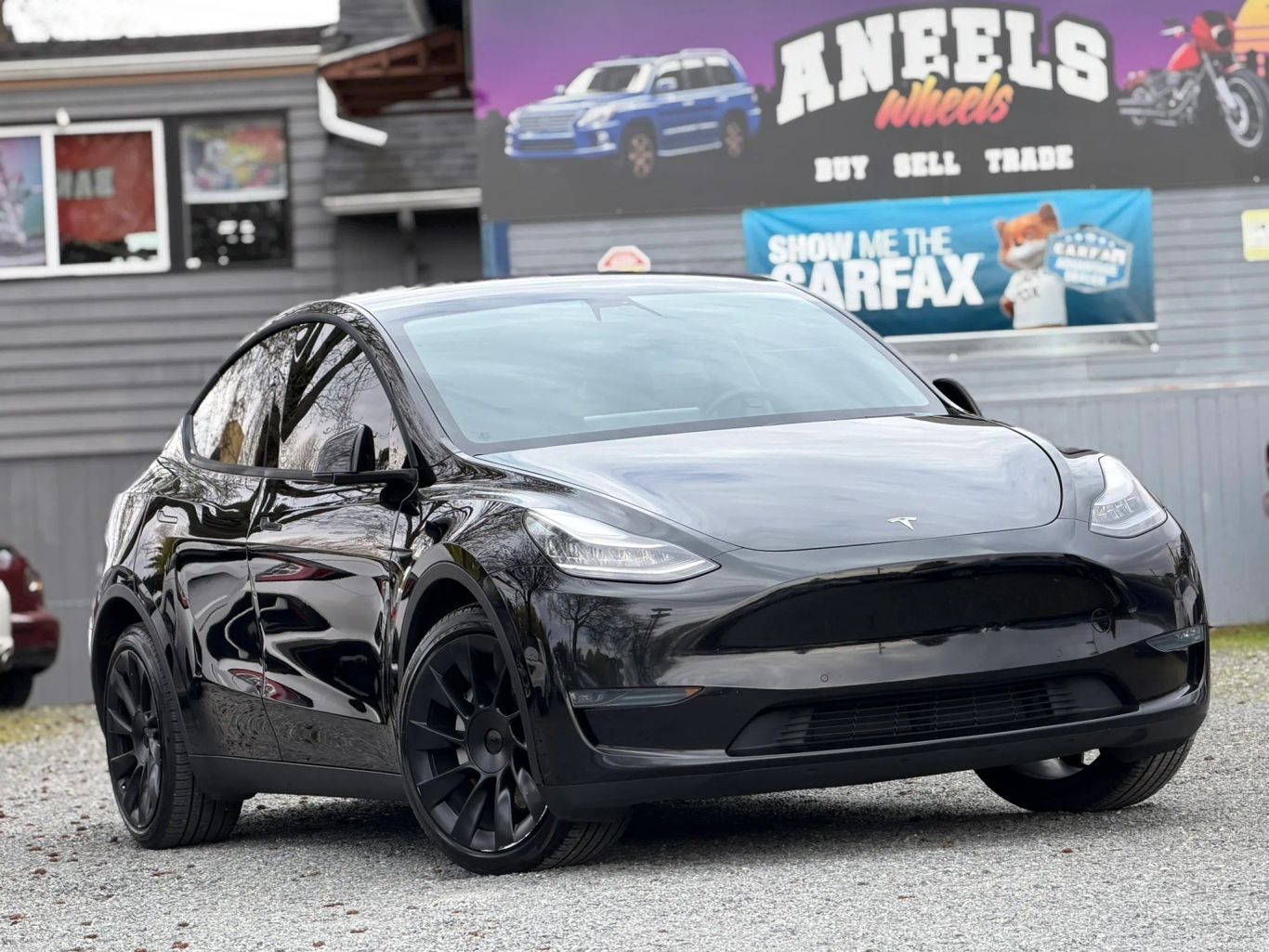 2021 TESLA Model Y