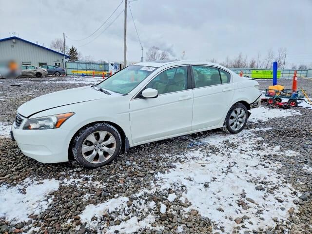 2010 HONDA Accord