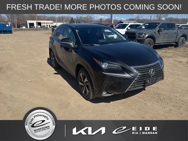 2019 LEXUS NX
