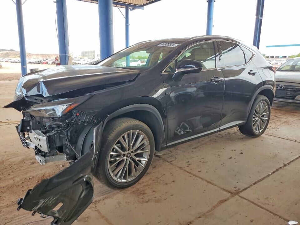 2025 LEXUS NX