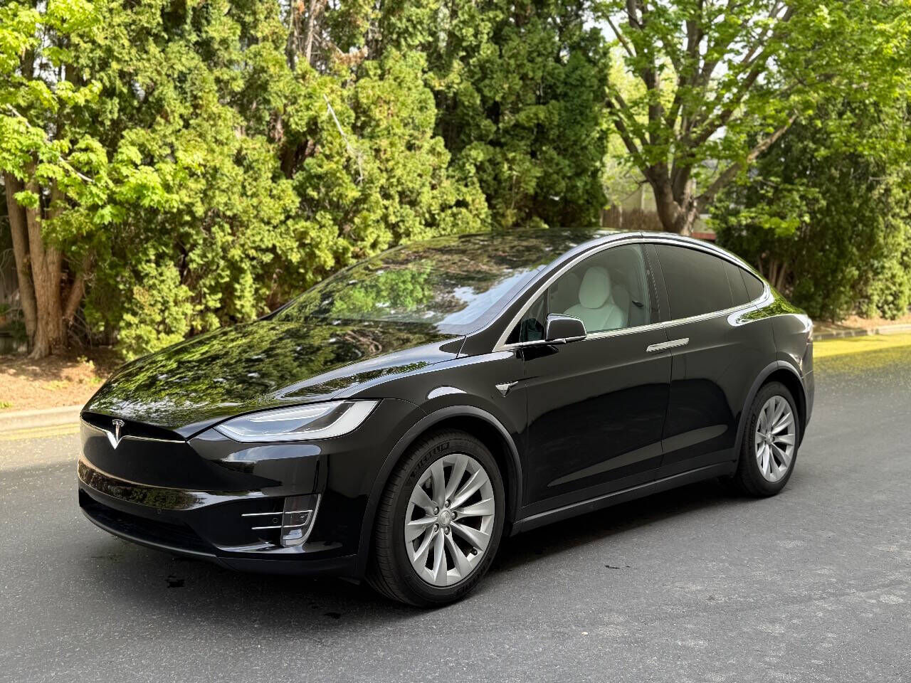 2017 TESLA Model X
