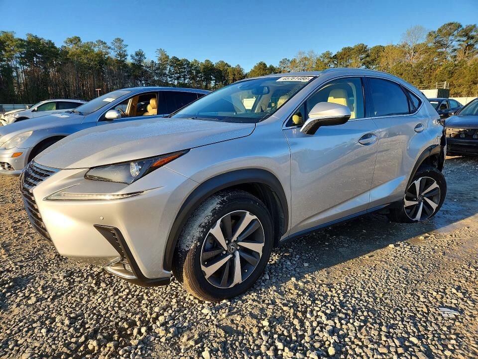 2019 LEXUS NX