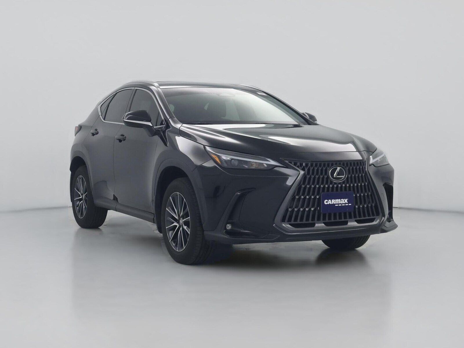 2024 LEXUS NX