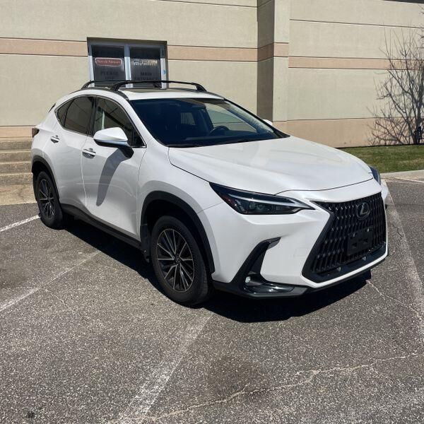 2024 LEXUS NX